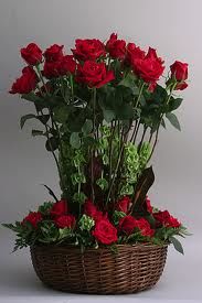 Arreglos Florales